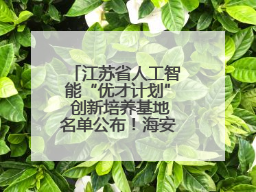 江苏省人工智能“优才计划” 创新培养基地名单公布！海安高级中学入选