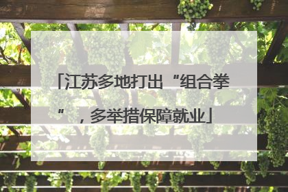 江苏多地打出“组合拳”，多举措保障就业