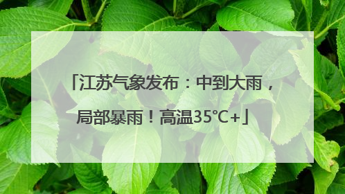江苏气象发布：中到大雨，局部暴雨！高温35℃+