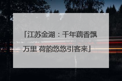 江苏金湖：千年藕香飘万里 荷韵悠悠引客来