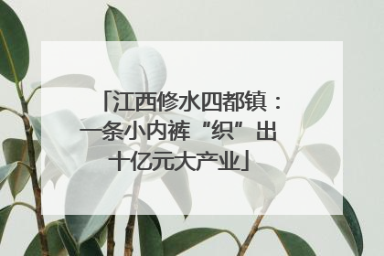 江西修水四都镇：一条小内裤“织”出十亿元大产业