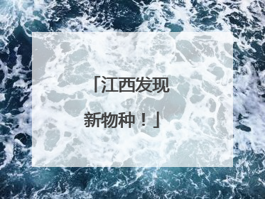 江西发现新物种！