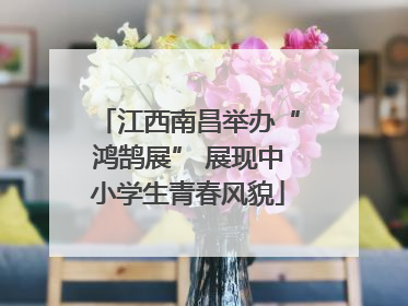 江西南昌举办“鸿鹄展” 展现中小学生青春风貌