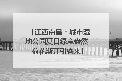 江西南昌：城市湿地公园夏日绿意盎然 荷花渐开引客来
