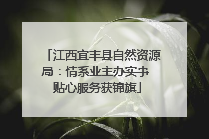 江西宜丰县自然资源局：情系业主办实事 贴心服务获锦旗