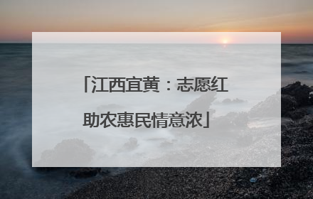 江西宜黄：志愿红助农惠民情意浓