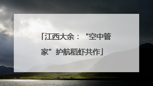 江西大余：“空中管家”护航稻虾共作
