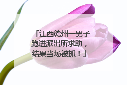 江西赣州一男子跑进派出所求助，结果当场被抓！