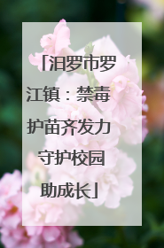 汨罗市罗江镇：禁毒护苗齐发力 守护校园助成长