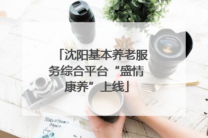 沈阳基本养老服务综合平台“盛情康养”上线