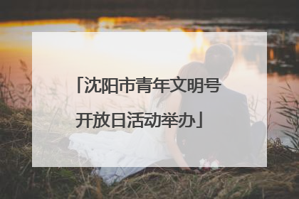 沈阳市青年文明号开放日活动举办