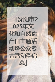 沈阳市2025年文化和自然遗产日主题活动暨公众考古活动季启幕