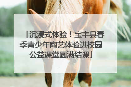 沉浸式体验！宝丰县春季青少年陶艺体验进校园公益课堂圆满结课