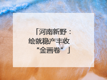河南新野：绘就稳产丰收“金画卷”