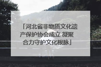 河北省非物质文化遗产保护协会成立 凝聚合力守护文化根脉