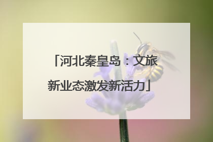 河北秦皇岛：文旅新业态激发新活力