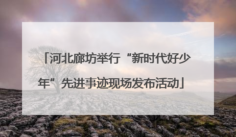 河北廊坊举行“新时代好少年”先进事迹现场发布活动
