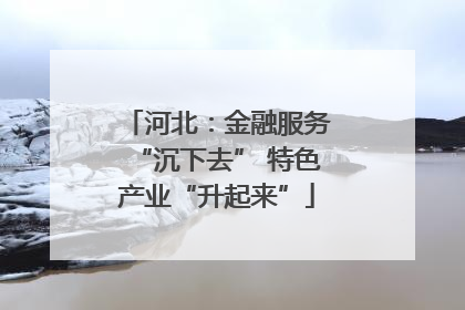 河北：金融服务“沉下去” 特色产业“升起来”