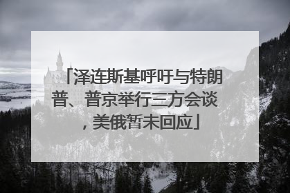 泽连斯基呼吁与特朗普、普京举行三方会谈，美俄暂未回应