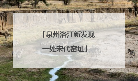 泉州洛江新发现一处宋代窑址