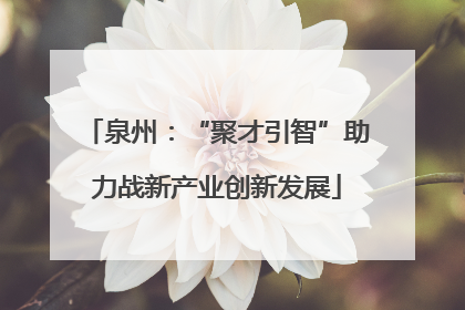 泉州：“聚才引智”助力战新产业创新发展