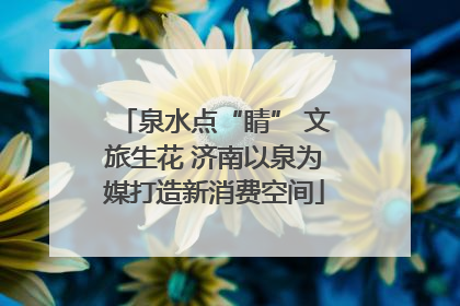 泉水点“睛” 文旅生花 济南以泉为媒打造新消费空间