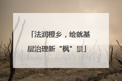 法润橙乡，绘就基层治理新“枫”景