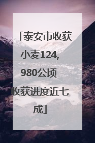 泰安市收获小麦124,980公顷 收获进度近七成