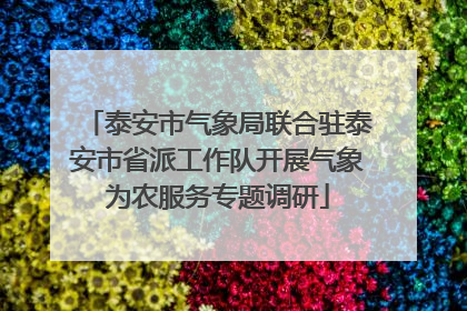 泰安市气象局联合驻泰安市省派工作队开展气象为农服务专题调研