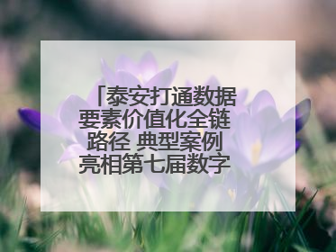 泰安打通数据要素价值化全链路径 典型案例亮相第七届数字中国建设峰会