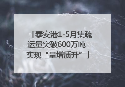 泰安港1-5月集疏运量突破600万吨 实现“量增质升”