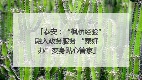 泰安：“枫桥经验”融入政务服务 “泰好办”变身贴心管家
