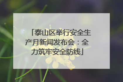 泰山区举行安全生产月新闻发布会：全力筑牢安全防线