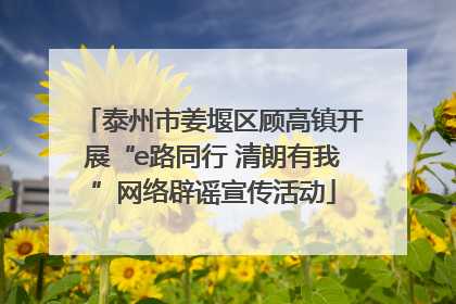泰州市姜堰区顾高镇开展“e路同行 清朗有我”网络辟谣宣传活动