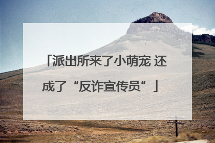 派出所来了小萌宠 还成了“反诈宣传员”