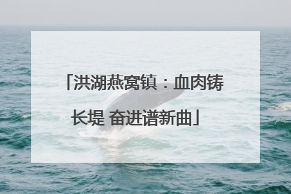 洪湖燕窝镇：血肉铸长堤 奋进谱新曲
