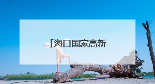 海口国家高新区新添中试实验平台及国际科技成果转化中心