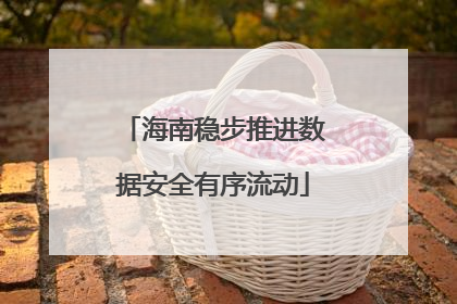 海南稳步推进数据安全有序流动