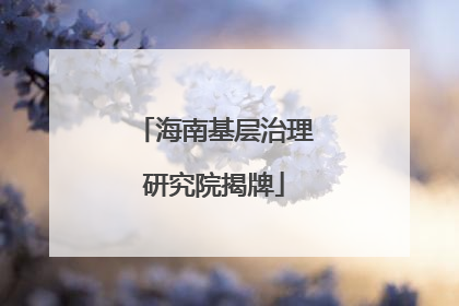 海南基层治理研究院揭牌