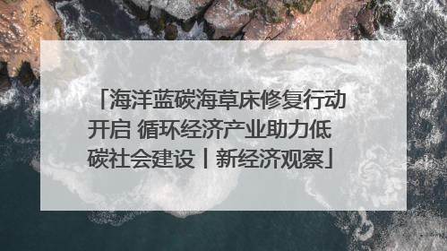 海洋蓝碳海草床修复行动开启 循环经济产业助力低碳社会建设丨新经济观察