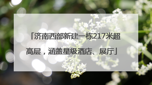 济南西部新建一栋217米超高层，涵盖星级酒店、展厅