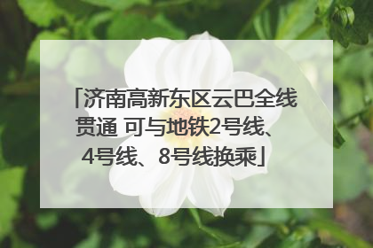济南高新东区云巴全线贯通 可与地铁2号线、4号线、8号线换乘