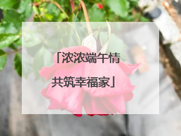 浓浓端午情 共筑幸福家