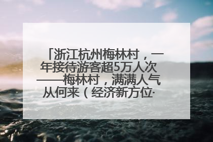 浙江杭州梅林村，一年接待游客超5万人次——梅林村，满满人气从何来（经济新方位·农村消费观察）