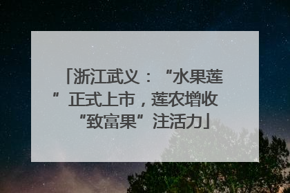 浙江武义：“水果莲”正式上市，莲农增收“致富果”注活力