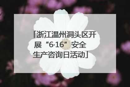 浙江温州洞头区开展“6·16”安全生产咨询日活动
