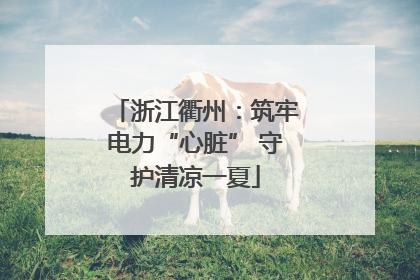 浙江衢州：筑牢电力“心脏” 守护清凉一夏