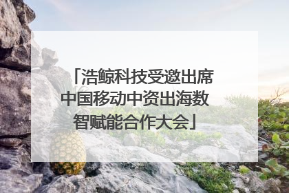 浩鲸科技受邀出席中国移动中资出海数智赋能合作大会