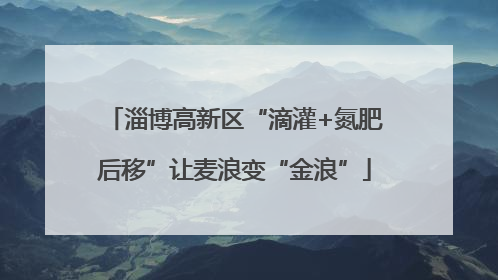 淄博高新区“滴灌+氮肥后移”让麦浪变“金浪”
