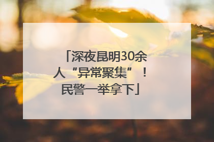 深夜昆明30余人“异常聚集”！民警一举拿下